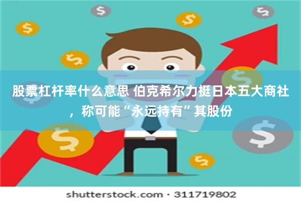 股票杠杆率什么意思 伯克希尔力挺日本五大商社，称可能“永远持有”其股份