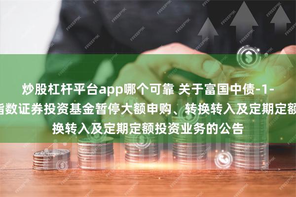 炒股杠杆平台app哪个可靠 关于富国中债-1-3年国开行债券指数证券投资基金暂停大额申购、转换转入及定期定额投资业务的公告