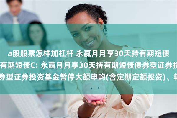 a股股票怎样加杠杆 永赢月月享30天持有期短债A,永赢月月享30天持有期短债C: 永赢月月享30天持有期短债债券型证券投资基金暂停大额申购(含定期定额投资)、转换转入业务的公告