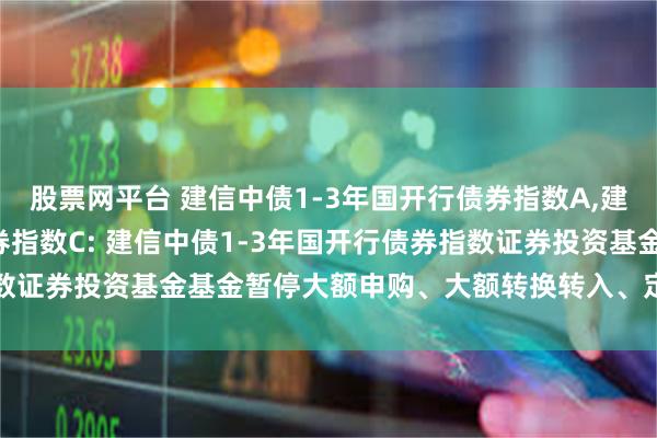 股票网平台 建信中债1-3年国开行债券指数A,建信中债1-3年国开行债券指数C: 建信中债1-3年国开行债券指数证券投资基金基金暂停大额申购、大额转换转入、定期定额投资公告