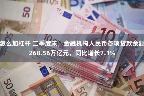 怎么加杠杆 二季度末，金融机构人民币各项贷款余额268.56万亿元，同比增长7.1%