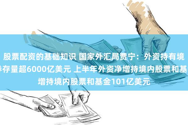 股票配资的基础知识 国家外汇局贾宁：外资持有境内人民币债券存量超6000亿美元 上半年外资净增持境内股票和基金101亿美元