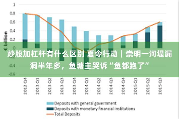 炒股加杠杆有什么区别 夏令行动｜崇明一河堤漏洞半年多，鱼塘主哭诉“鱼都跑了”