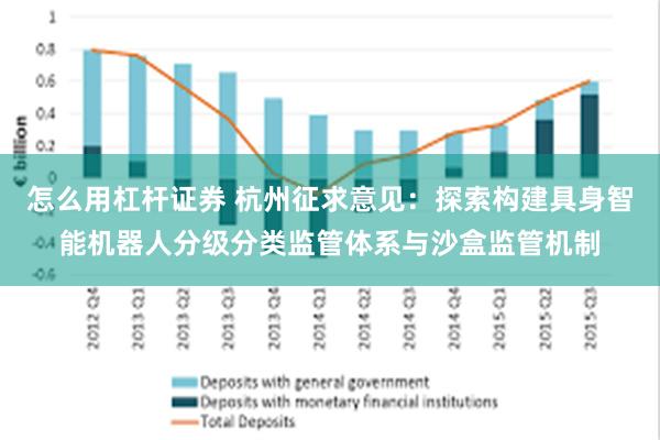 怎么用杠杆证券 杭州征求意见：探索构建具身智能机器人分级分类监管体系与沙盒监管机制